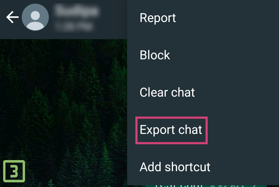 3.Choose Export Chat